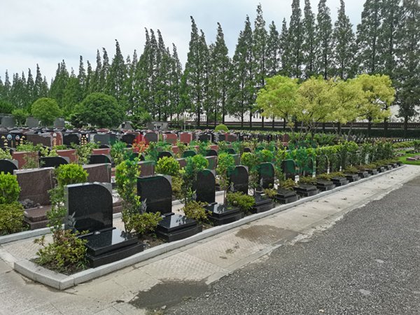 腾博会官网·专业效劳,诚信为本
