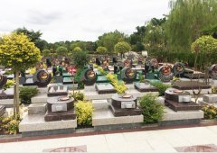 上；；；；；懔靶腔鹎