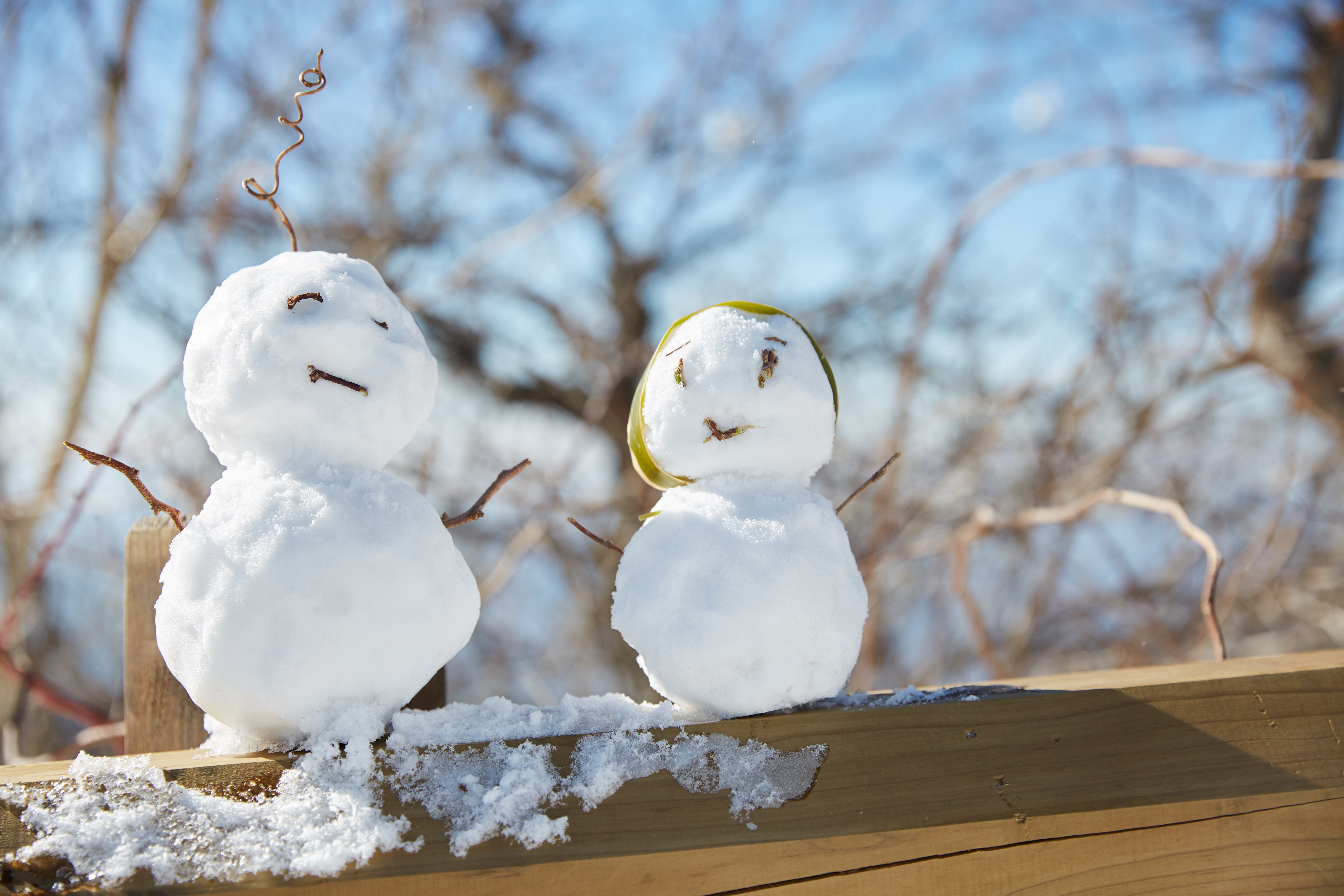 冬至，，，，，暖“杨”相伴 | 腾博会官网人全力配合各墓园冬至落葬