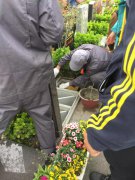 【腾博会官网人别样清明】2018年清明落葬事情圆满完成