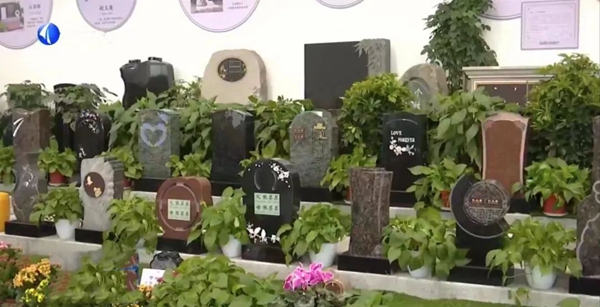 腾博会官网·专业效劳,诚信为本