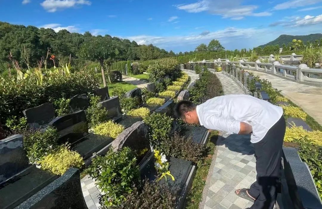 腾博会官网·专业效劳,诚信为本