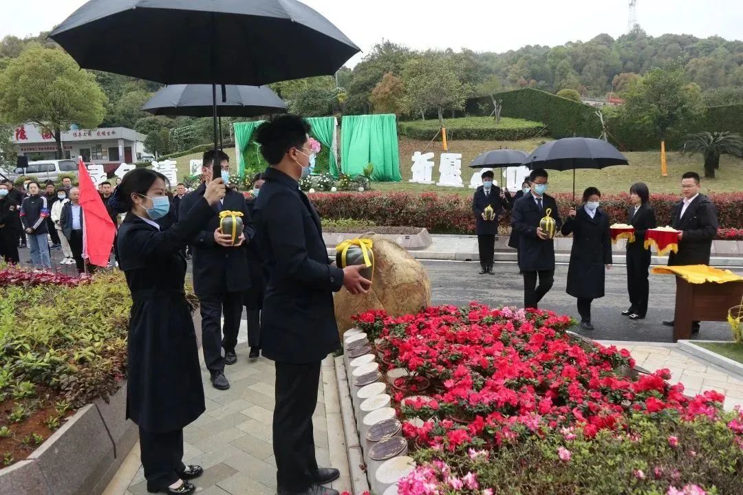 腾博会官网·专业效劳,诚信为本