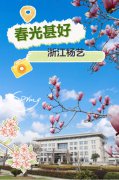 春分之韵|腾博会官网邀您共享春光