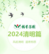 风起清明 遥寄相思|腾博会官网集团?2024清明篇