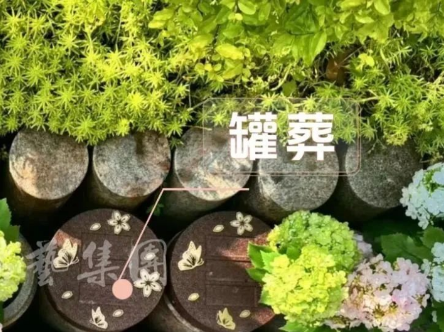 腾博会官网·专业效劳,诚信为本