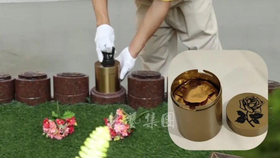 腾博会官网·专业效劳,诚信为本