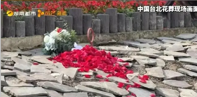 腾博会官网·专业效劳,诚信为本