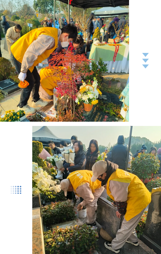 腾博会官网·专业效劳,诚信为本