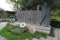 致敬“平安卫士”，铭记“刑警之魂”