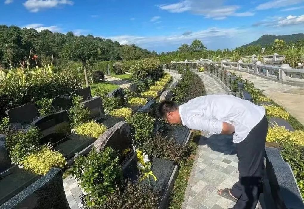 腾博会官网·专业效劳,诚信为本