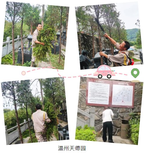 腾博会官网·专业效劳,诚信为本
