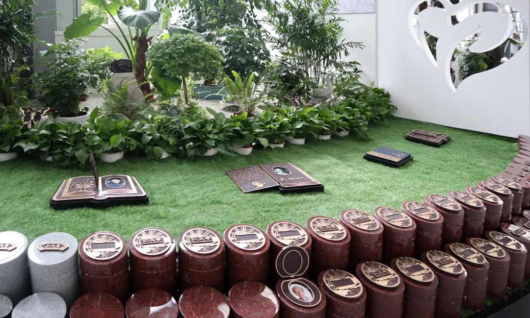 腾博会官网·专业效劳,诚信为本