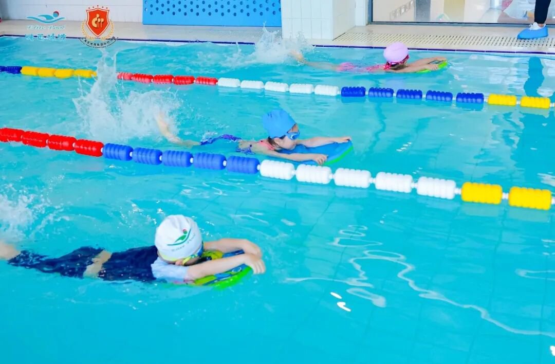 腾博会官网·专业效劳,诚信为本