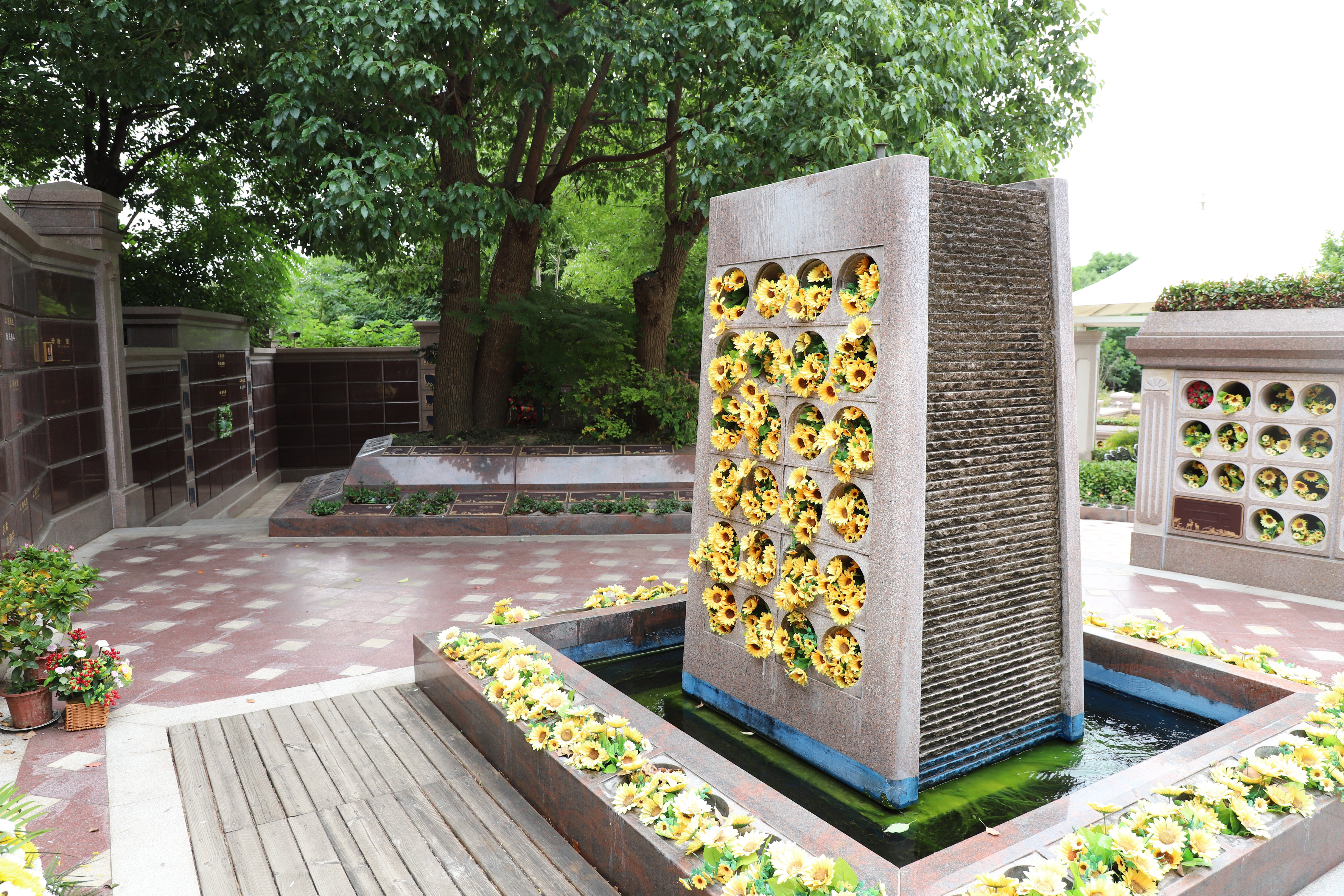 腾博会官网·专业效劳,诚信为本