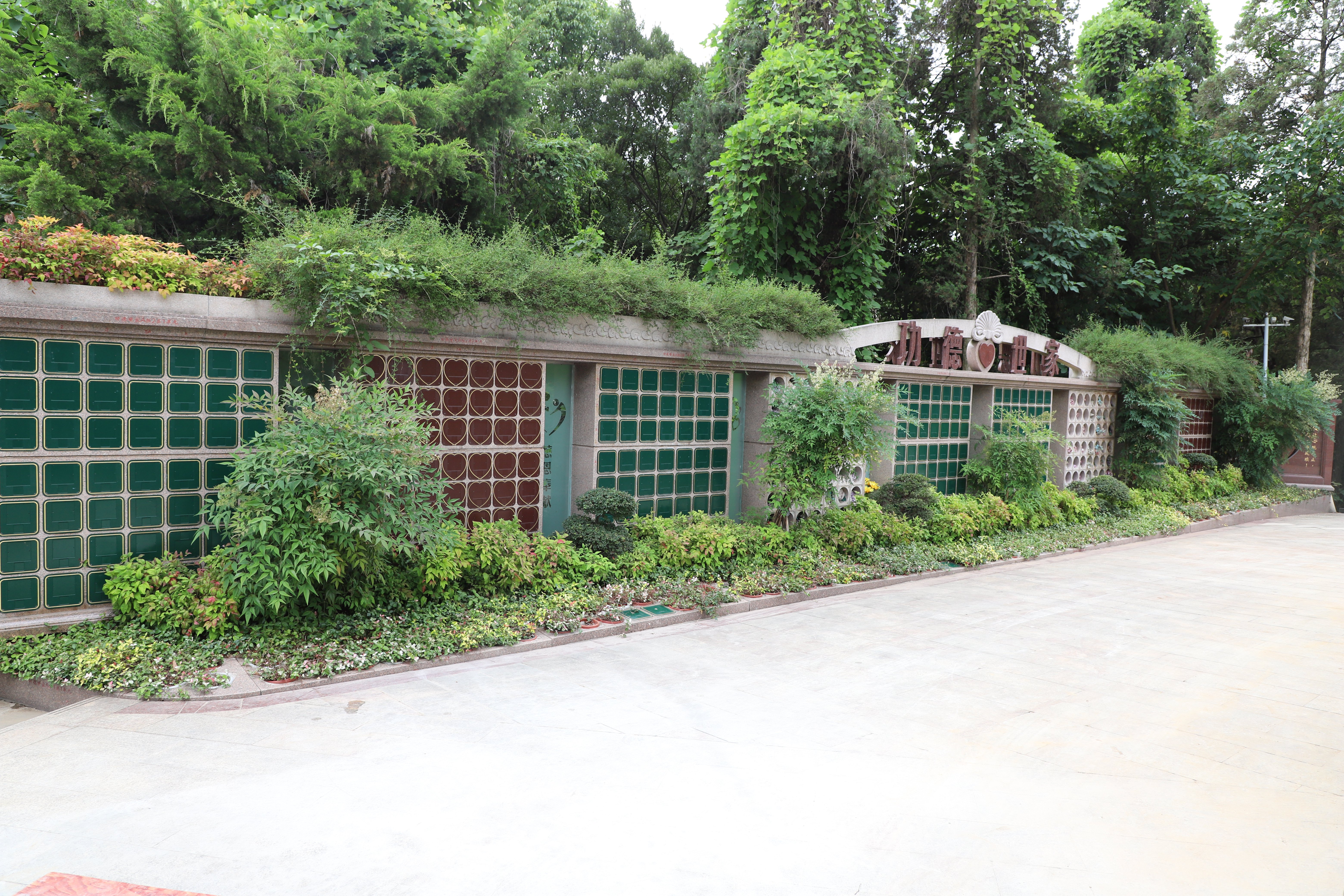 腾博会官网·专业效劳,诚信为本