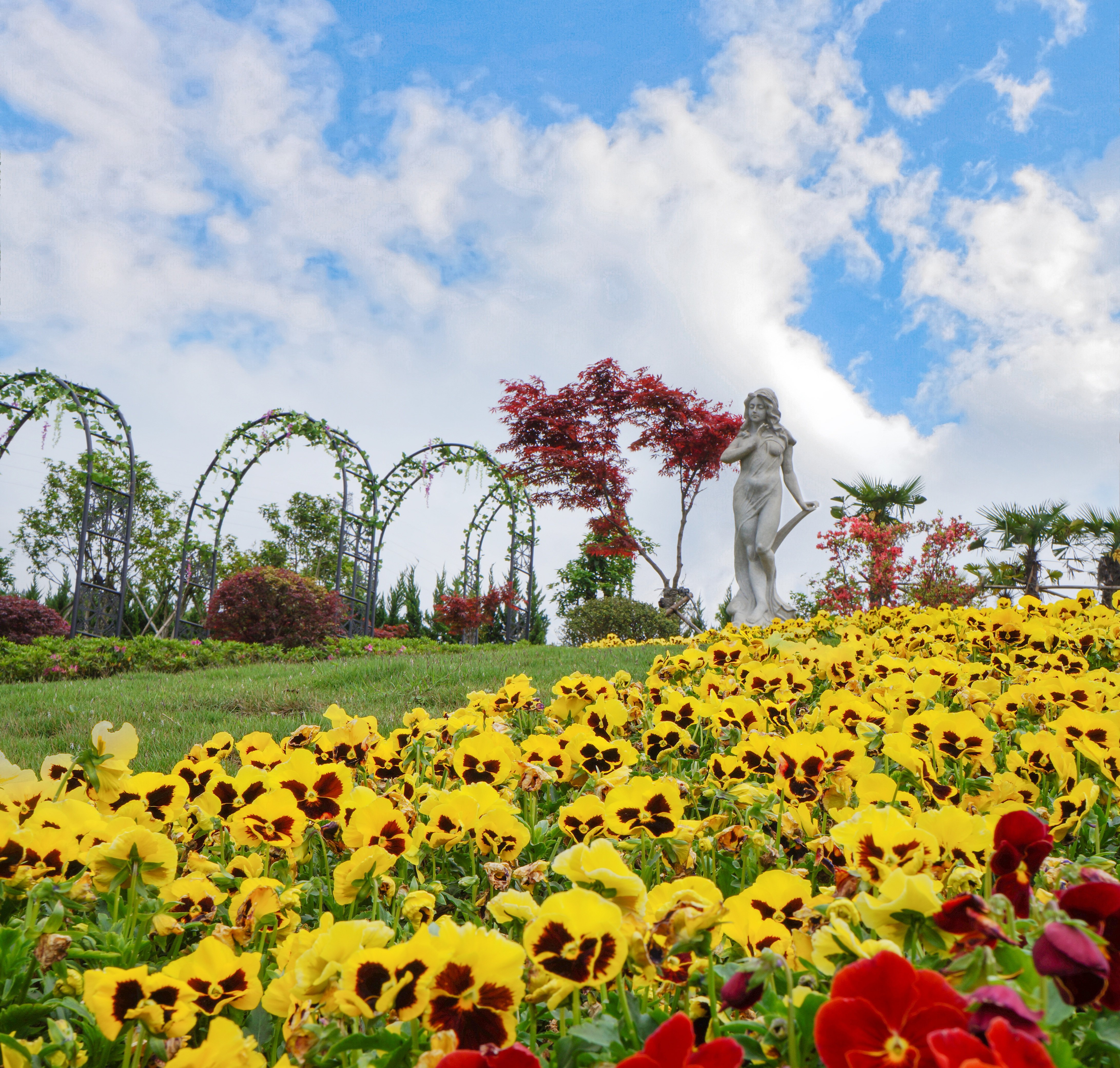 腾博会官网·专业效劳,诚信为本