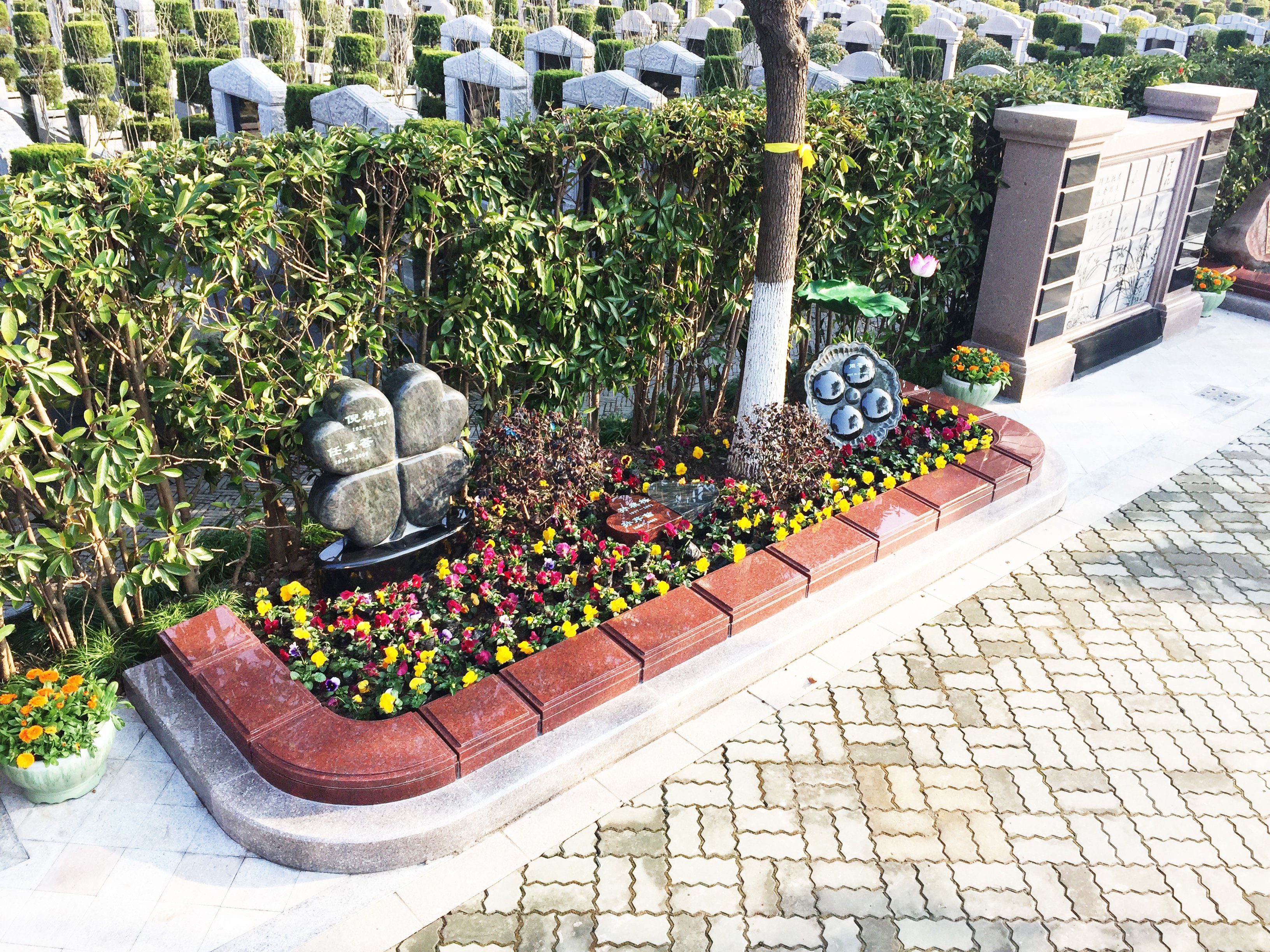 腾博会官网·专业效劳,诚信为本