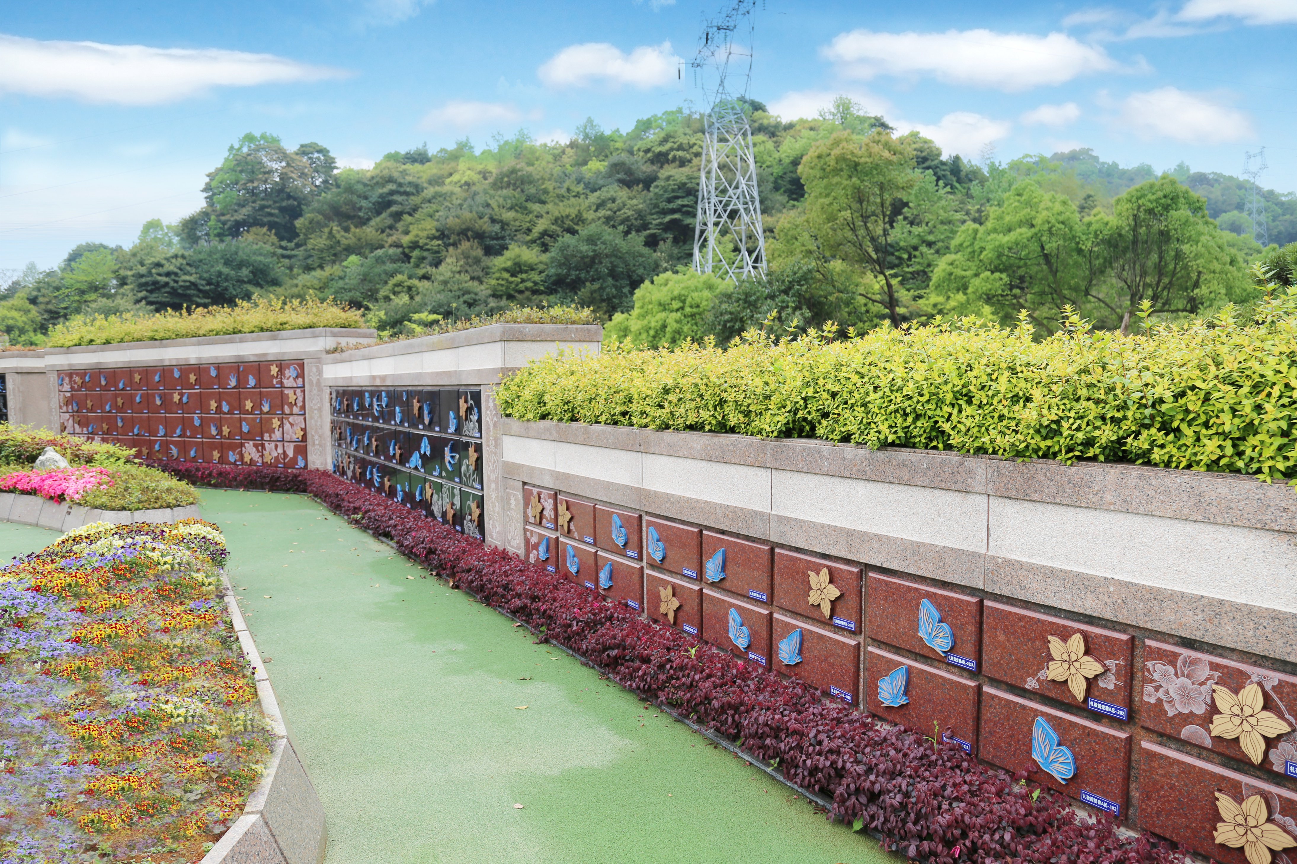 腾博会官网·专业效劳,诚信为本