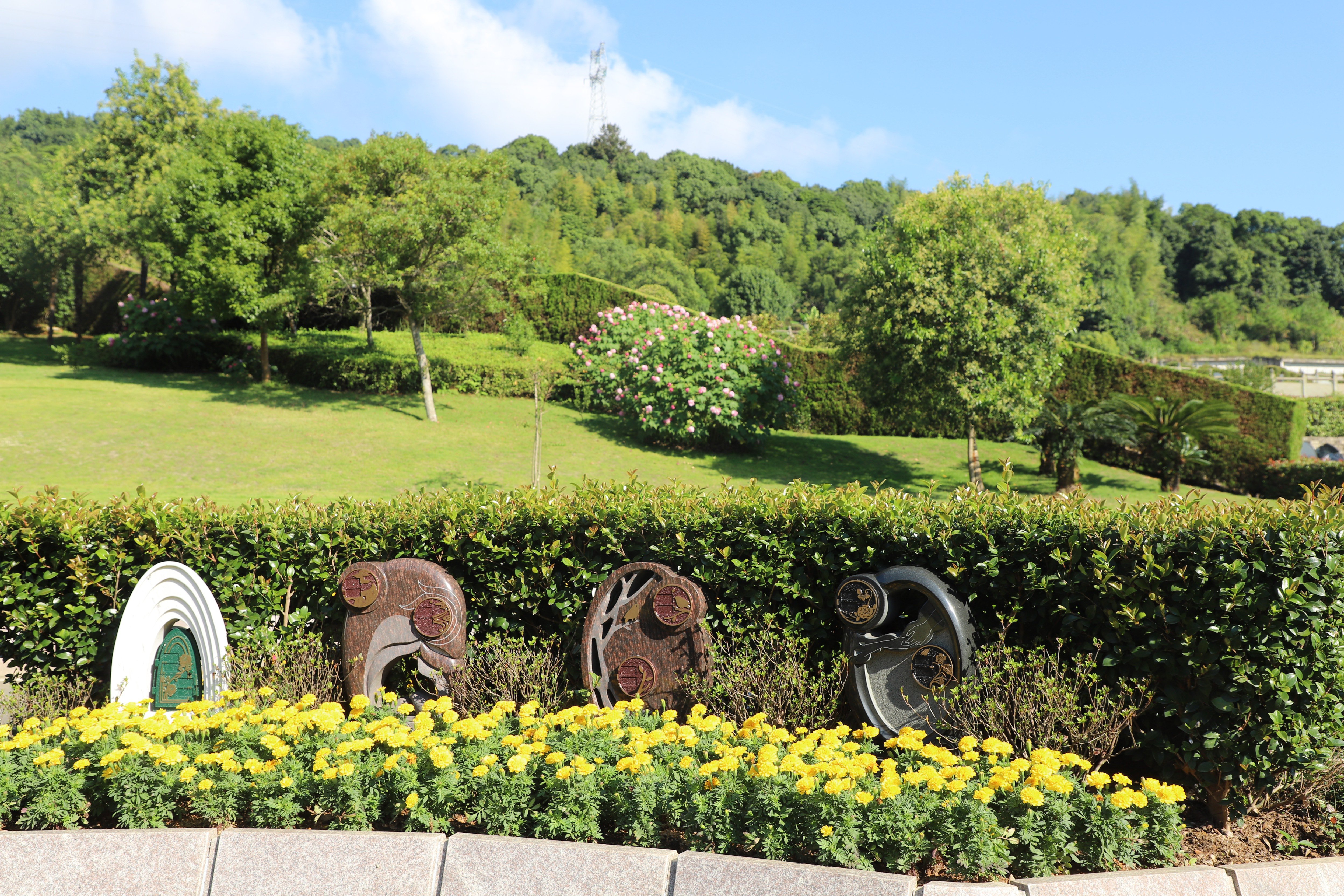 腾博会官网·专业效劳,诚信为本