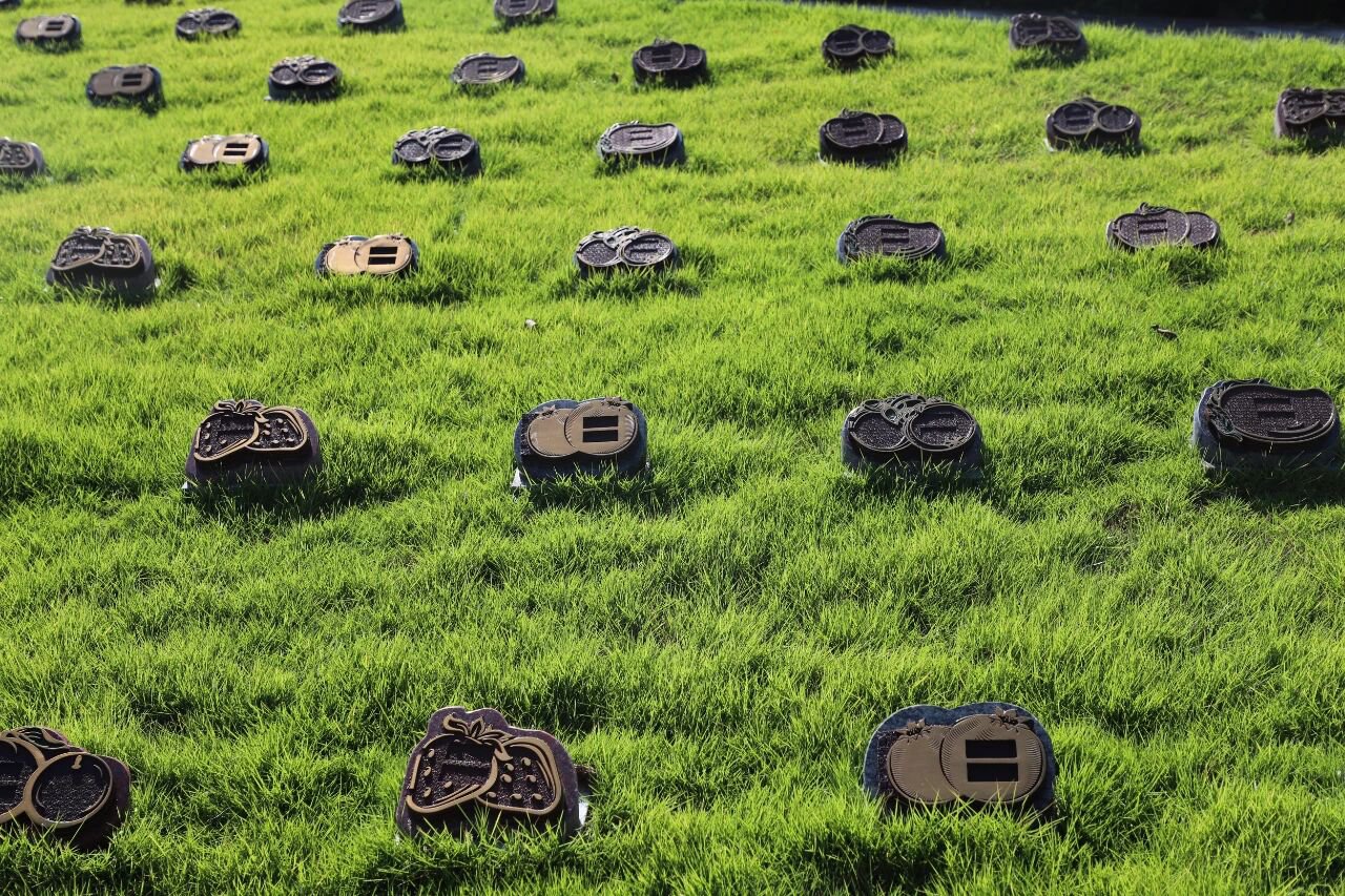 腾博会官网·专业效劳,诚信为本