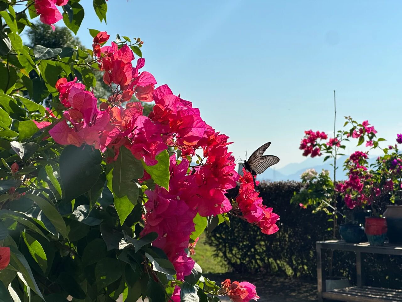 腾博会官网·专业效劳,诚信为本