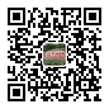 腾博会官网·专业效劳,诚信为本