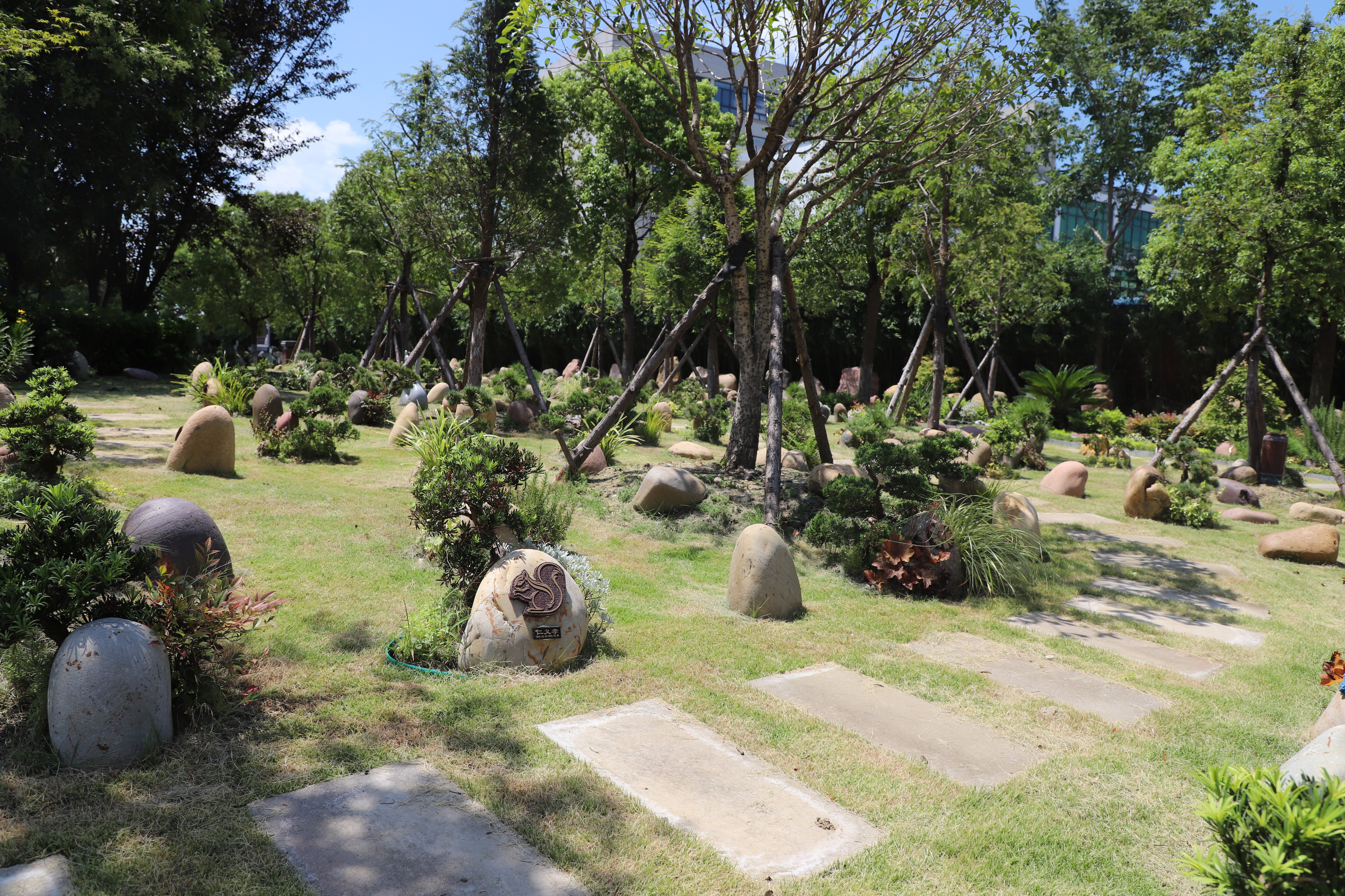 腾博会官网·专业效劳,诚信为本