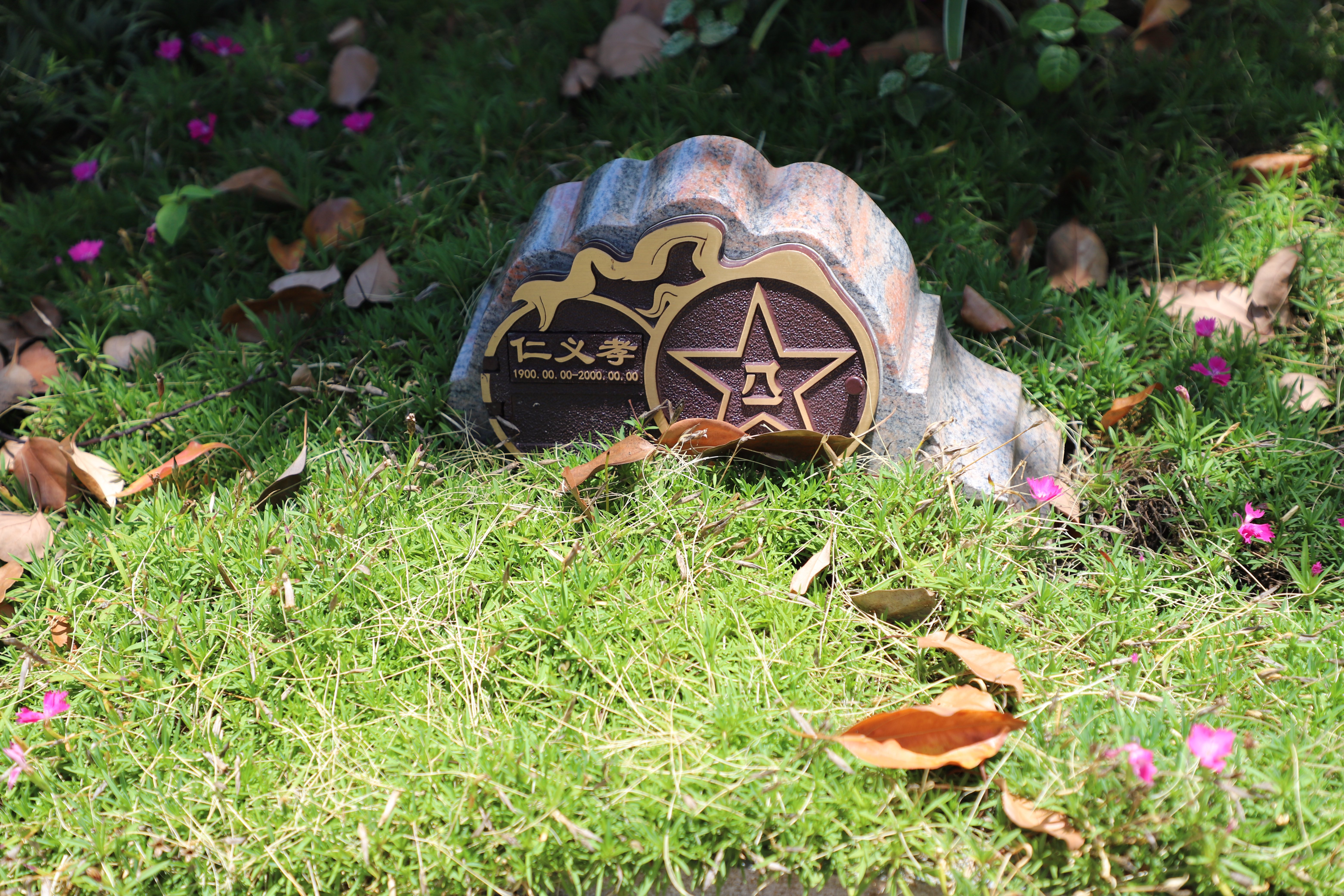 腾博会官网·专业效劳,诚信为本