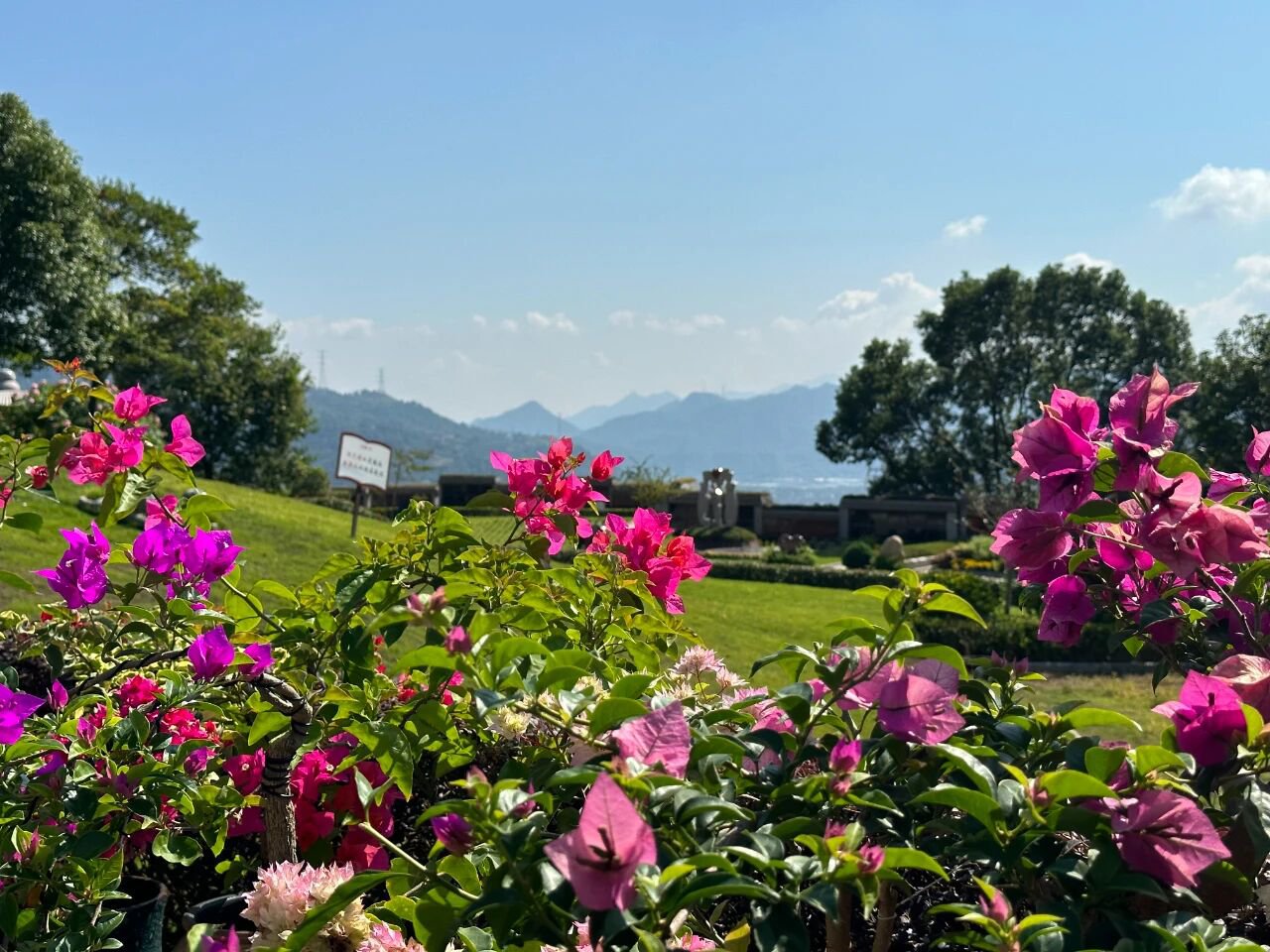 腾博会官网·专业效劳,诚信为本