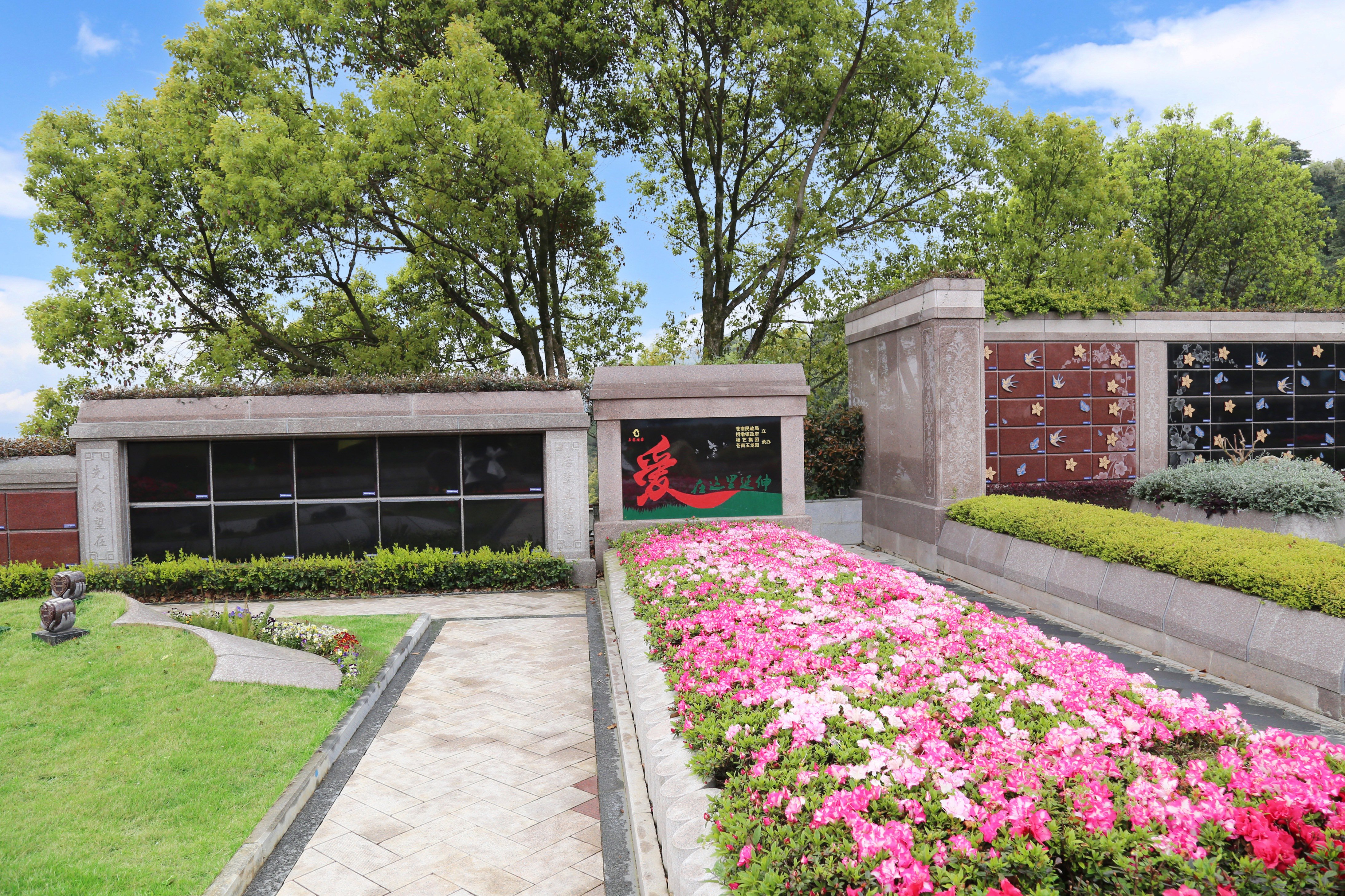 腾博会官网·专业效劳,诚信为本