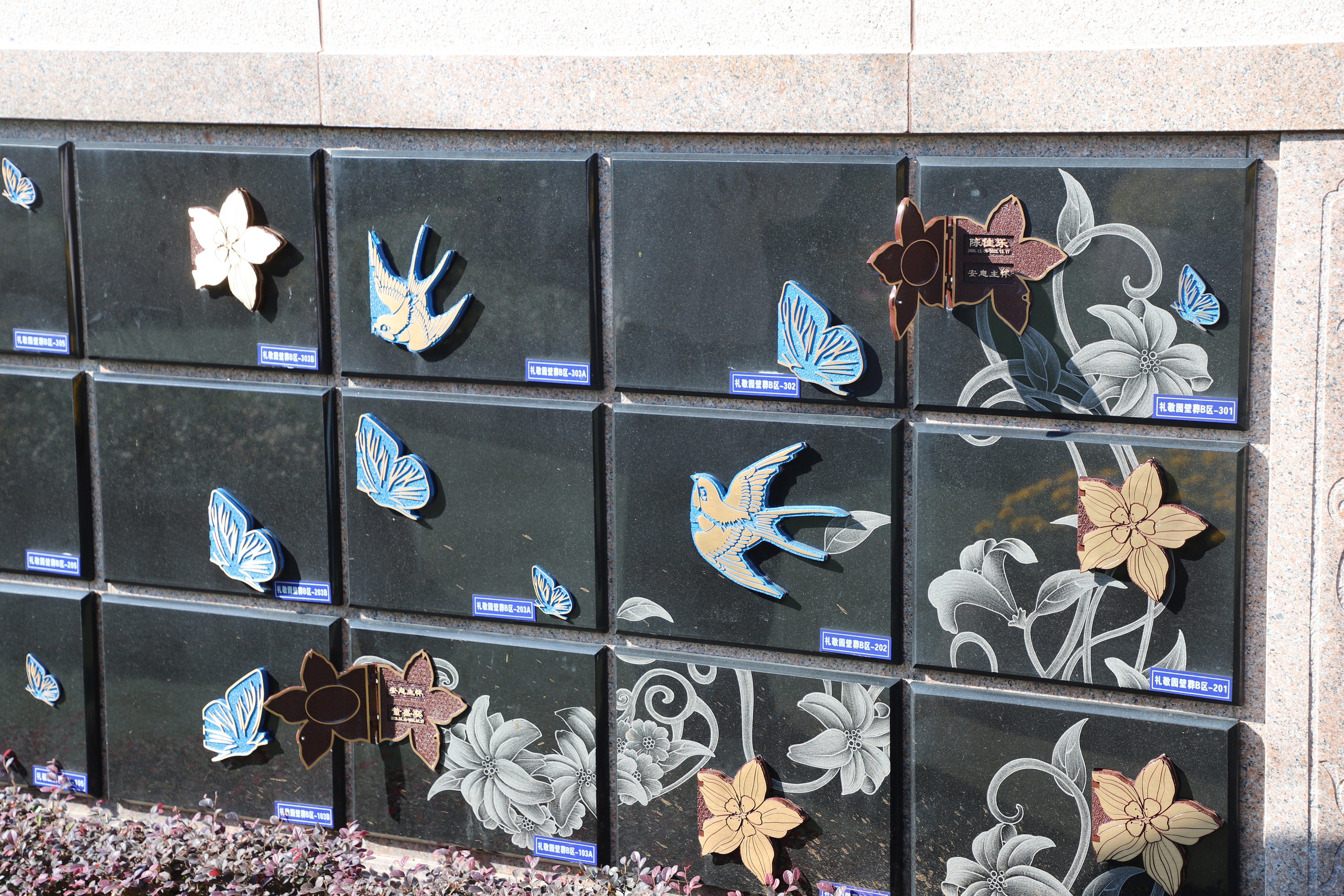 腾博会官网·专业效劳,诚信为本