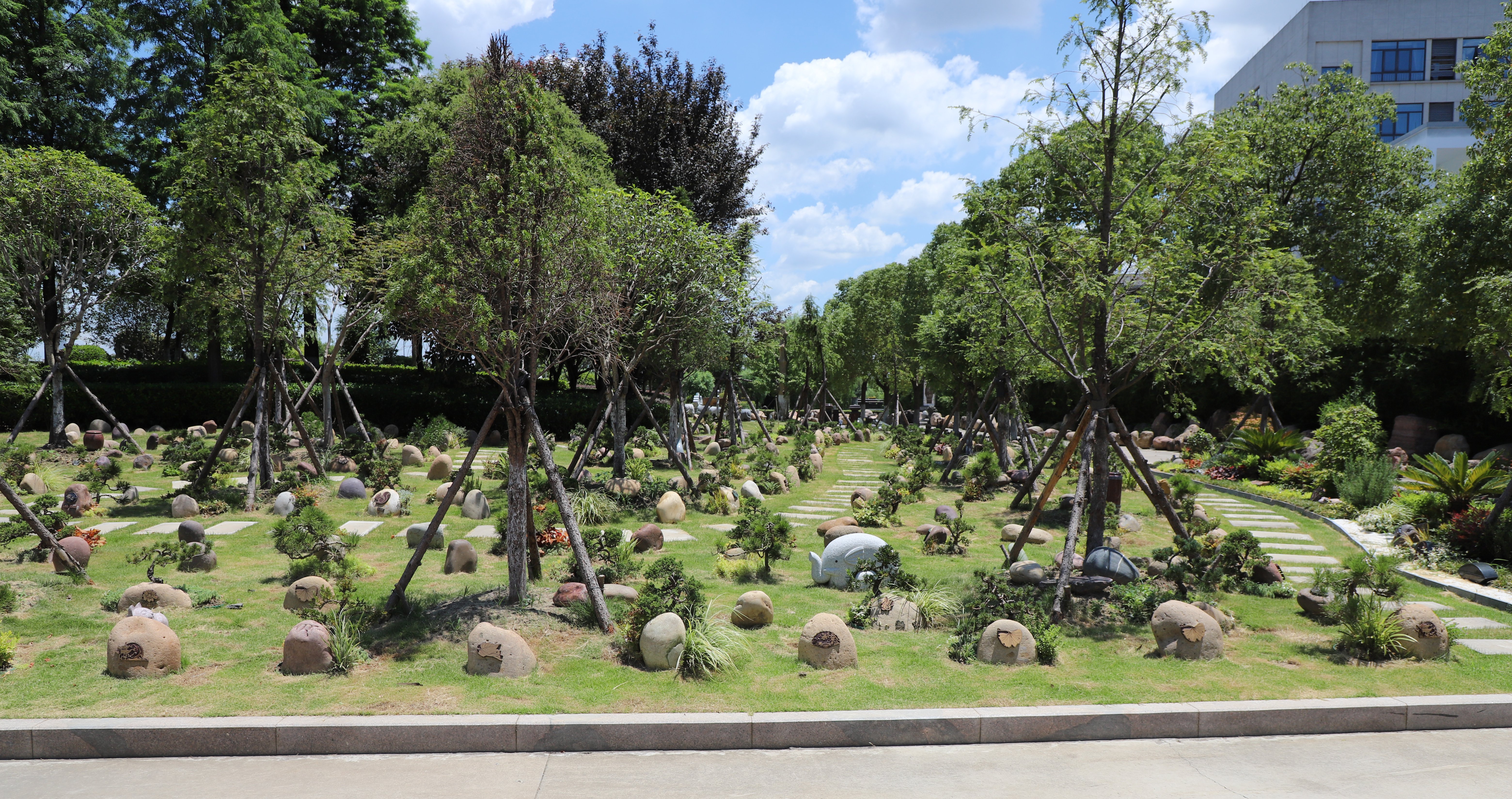 腾博会官网·专业效劳,诚信为本